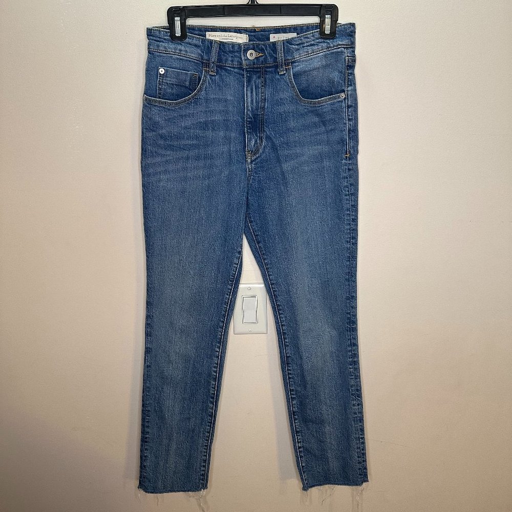 Pilcro jeans